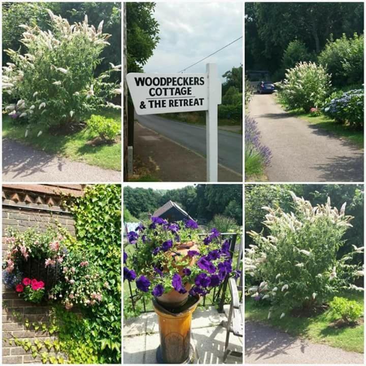 Woodpeckers Cottage B&B Pett Luaran gambar